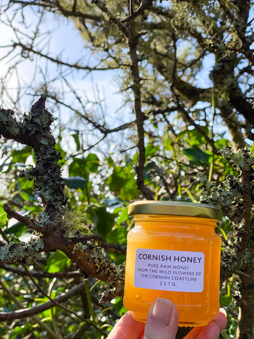Cornish Honey