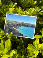 Housel Bay Postcard